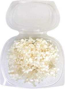 Stabilizovaná hortenzie CABEZA bělená KVĚTY 15g