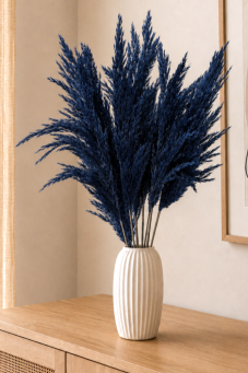 Sušená pampová tráva (pampas) tmavě modrá 10ks, 50-60cm