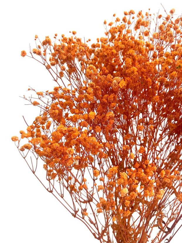 Nevěstin závoj/stabilizovaná Gypsophila zväzok/kytica oranžová - Balenie: 90g-95g