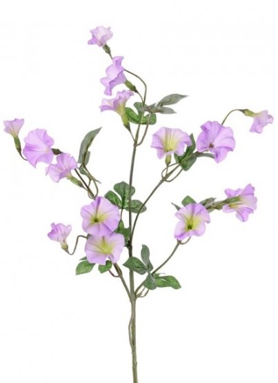 Pupenec LILA, 15 kvetov, 63cm