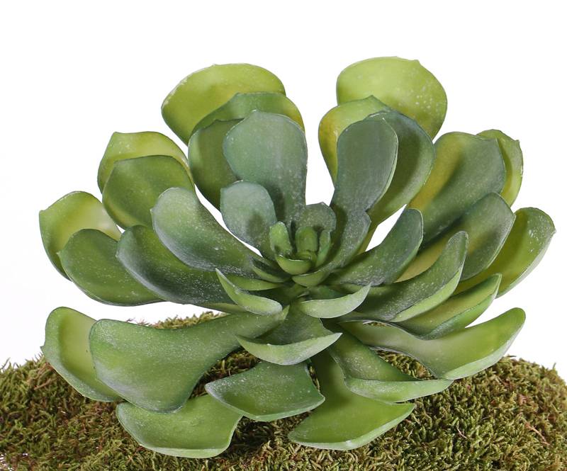 Aeonium XL umelý, JASNE ZELENÁ, Ø 24cm