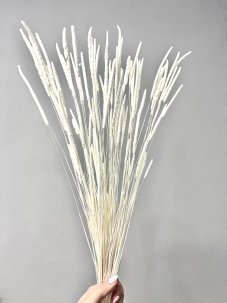 Sušená tráva Phleum bielená 60cm, zväzok