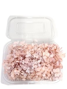 Stabilizovaná hortenzie CABEZA žíhaná sepia rose KVĚTY 15g