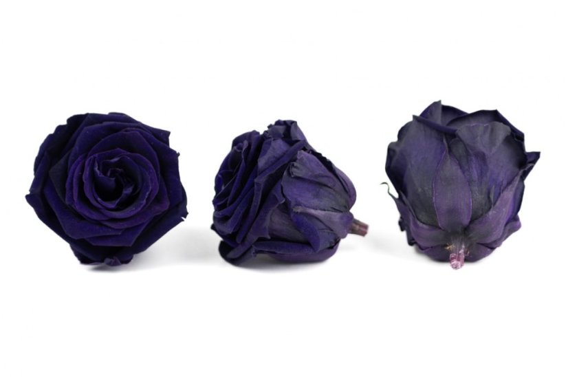 Stabilizovaná růže LULU XL temná fialová (hlava)