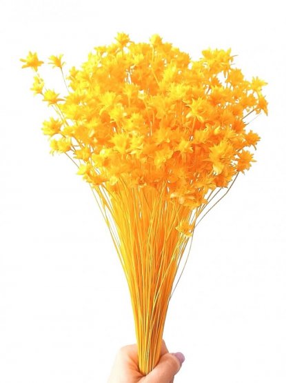 Sušená kvetina Hill Flower žltá zväzok
