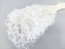 Stabilizovaná mini Gypsophila svazek/kytice bělená