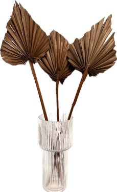 Sušené palmové listy hnedé XL 3ks