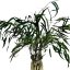 Stabilizovaný eukalyptus Willow s plody, kytica/zväzok 100g