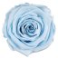 Stabilizovaná růže Rose Amor XL baby blue/světle modrá (hlava)