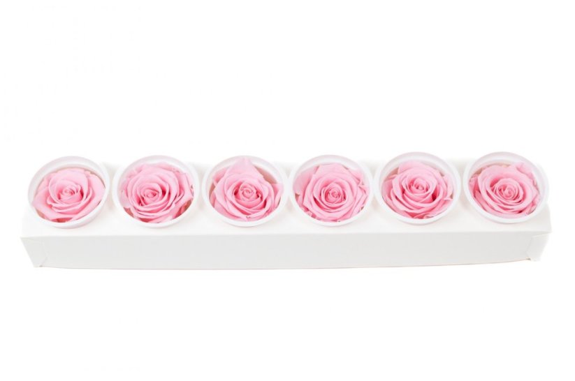 Stabilizovaná růže KIARA XL pastelově růžová (hlava)