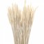 Sušená pšenica bielená zväzok