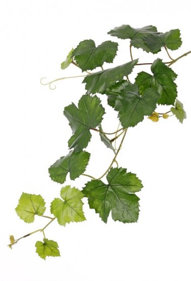 Listy vínnej révy umelé, vetvička 62cm (odolné proti UV)