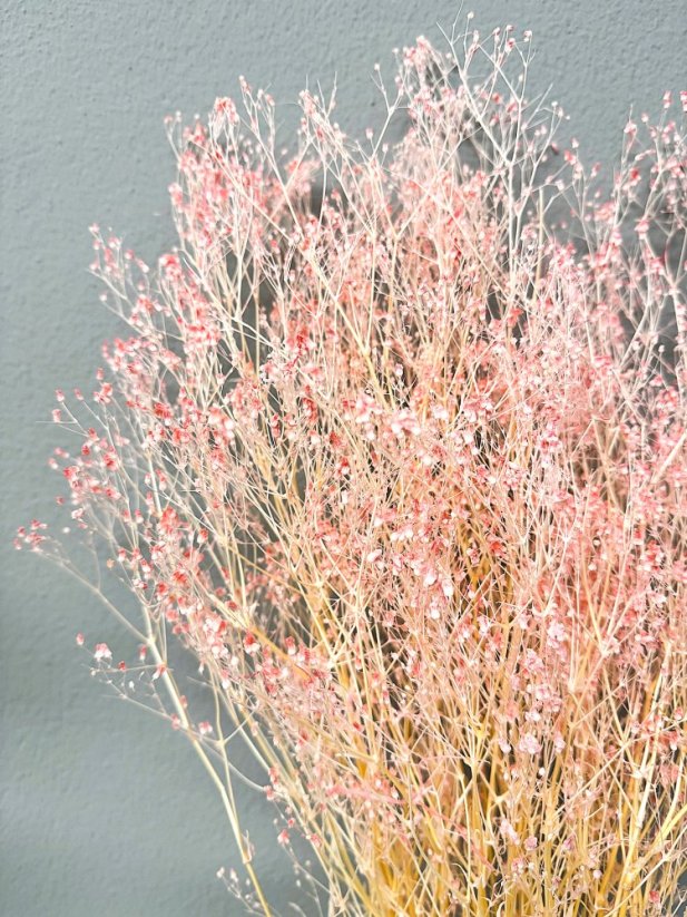 Nevěstin závoj/stabilizovaná Gypsophila svazek/kytice bělená/baby pink - Balení: 90g-95g