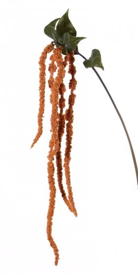 Amarant převislá větvička, podzimní zbarvení s listy, 5 snítek, 125cm