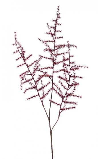 Asparagus umělá větvička VÍNOVÁ, jako opravdový, detaily, 73cm