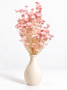Stabilizovaný rebríček (Achillea)  svetlo RUŽOVÝ zväzok/kytica