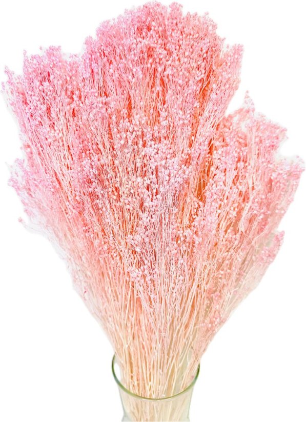 Stabilizovaný Broom Bloom ružový, kytica/zväzok - Balenie: 50g