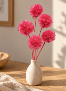 Sušená Scabiosa sytě růžová