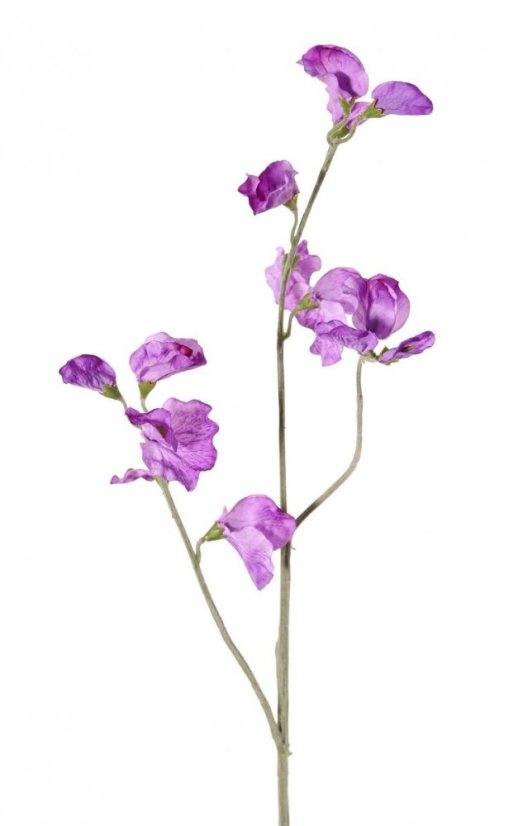 Hrachor vonný umělý FIALOVÝ, jemné detaily, 10 květů, 4 poupata, 64cm
