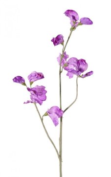 Hrachor vonný umělý FIALOVÝ, jemné detaily, 10 květů, 4 poupata, 64cm