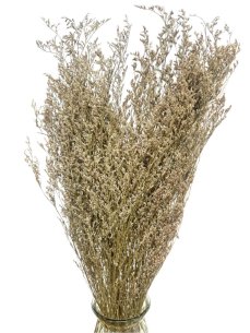 Limonium/Limonka sušená prírodná zväzok