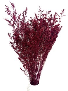 Limonium/Limonka stabilizovaná bordó svazek