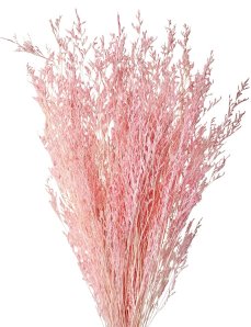 Limonium/Limonka stabilizovaná světle růžová svazek