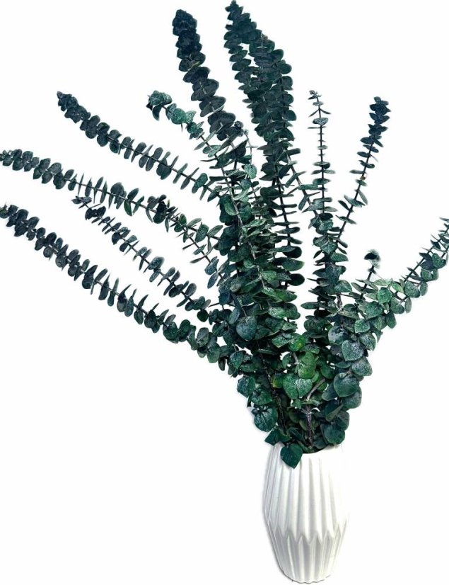 Stabilizovaný eukalyptus BABY, svazek zelených větviček - Balení: 140g