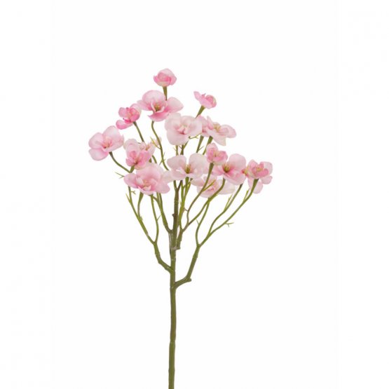 Begónie keřík, 18 světle růžových květů, 57cm