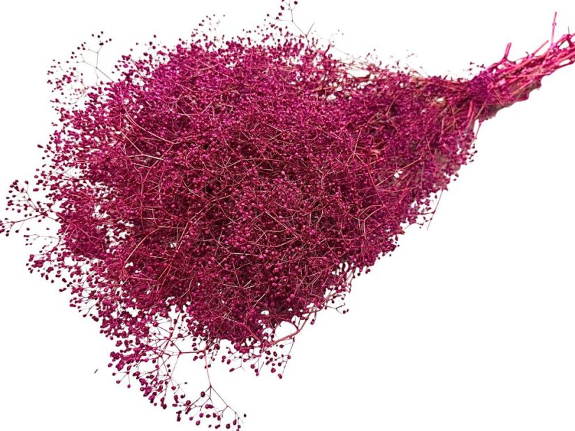 Stabilizovaná mini Gypsophila svazek/kytice purpurová/magenta - Balení: 90g-95g