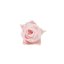 Stabilizovaná japonská ruža púčik svetlo ružový/baby pink (hlava)