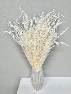 Sušená tráva Star Grass bielená 60cm, zväzok