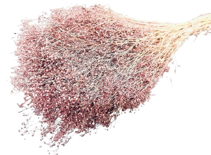 Stabilizovaná mini Gypsophila zväzok nostalgia rose - Balenie: 90g-95g