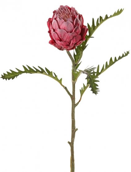 Protea umělá, lehce ojíněná s listy, krásné zpracování, 63cm