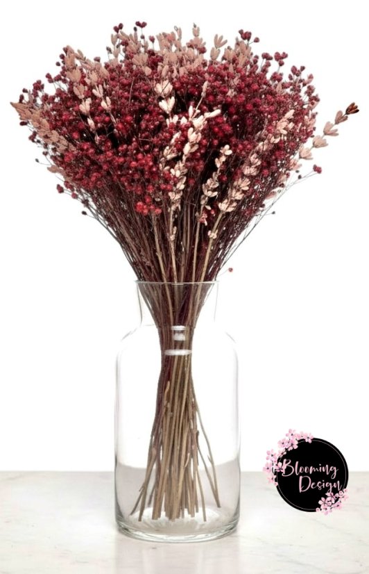 Kytica zo stabilizovanej levandule a sušeného broom bloom, staroružová/vínová