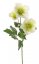 Čemeřice umělá 3 květy s listy, bílozelená, 45cm