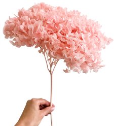 Stabilizovaná hortenzie CABEZA pastelově růžová, soft pink XL