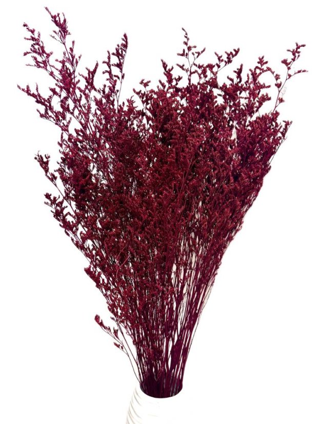 Limonium/Limonka stabilizovaná bordó svazek - Balení: 100g