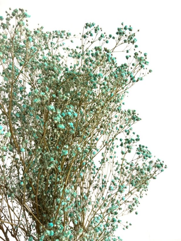 Nevěstin závoj/stabilizovaná Gypsophila svazek/kytice tyrkysová/zelenomodrá