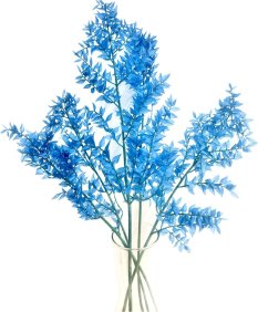 Stabilizovaný ruskus (ruscus) kytice/svazek aquamarine modrá