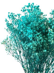 Nevěstin závoj/stabilizovaná Gypsophila svazek/kytice TYRKYSOVÁ