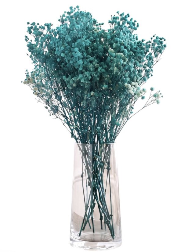 Nevěstin závoj/stabilizovaná Gypsophila svazek/kytice TYRKYSOVÁ