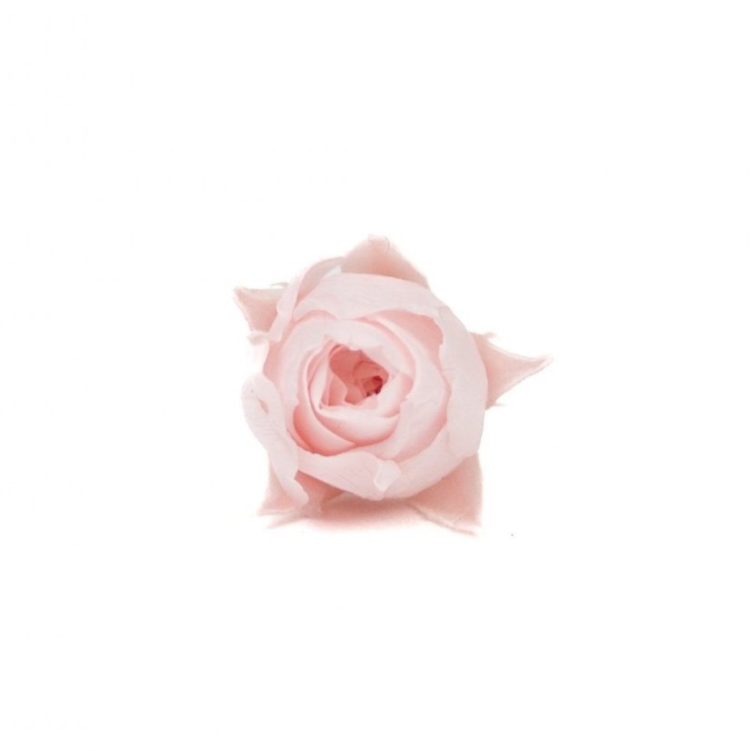Stabilizovaná japonská ruža púčik svetlo ružový/baby pink (hlava)