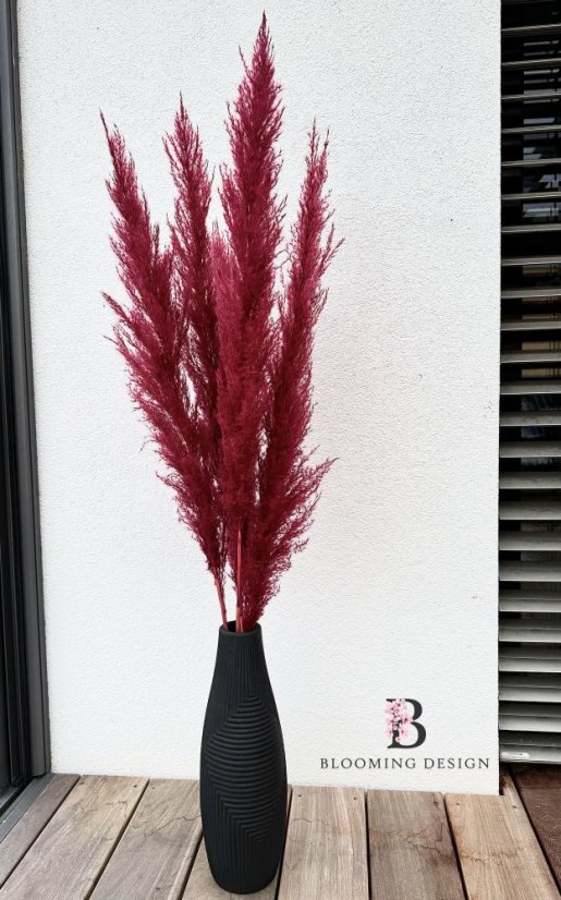 Sušená pampová tráva bordó/vínová XL 110cm-120cm, svazek 3ks