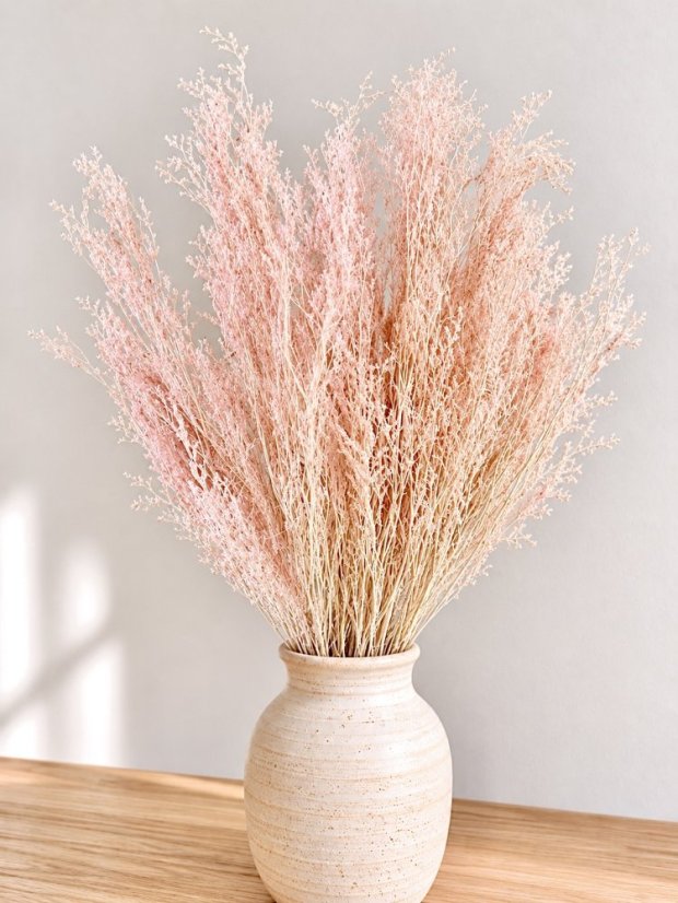 Limonium/Limonka stabilizovaná svetlo ružový nádych  zväzok