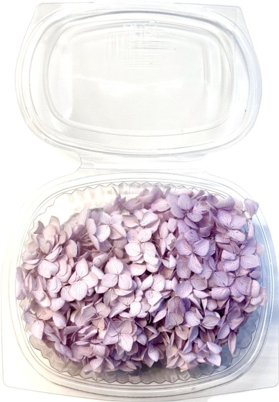 Stabilizovaná hortenzie CABEZA lila KVĚTY 10g