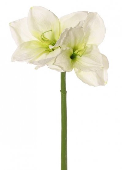 Amarylis 'exclusive' umělý - bílo-zelený,  2 velké květy 70cm, jedno poupě