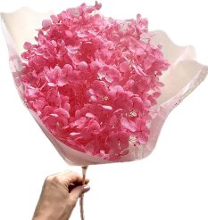Stabilizovaná hortenzie CABEZA  růžová pink