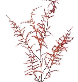 Asparagus vetvička HRDZAVÁ XL, ako skutočný, detaily, 130cm
