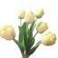 Rozkvitnutý tulipán zelený nádych (kvet Ø 6.5), PREMIUM QUALITY, pogumovany 45cm